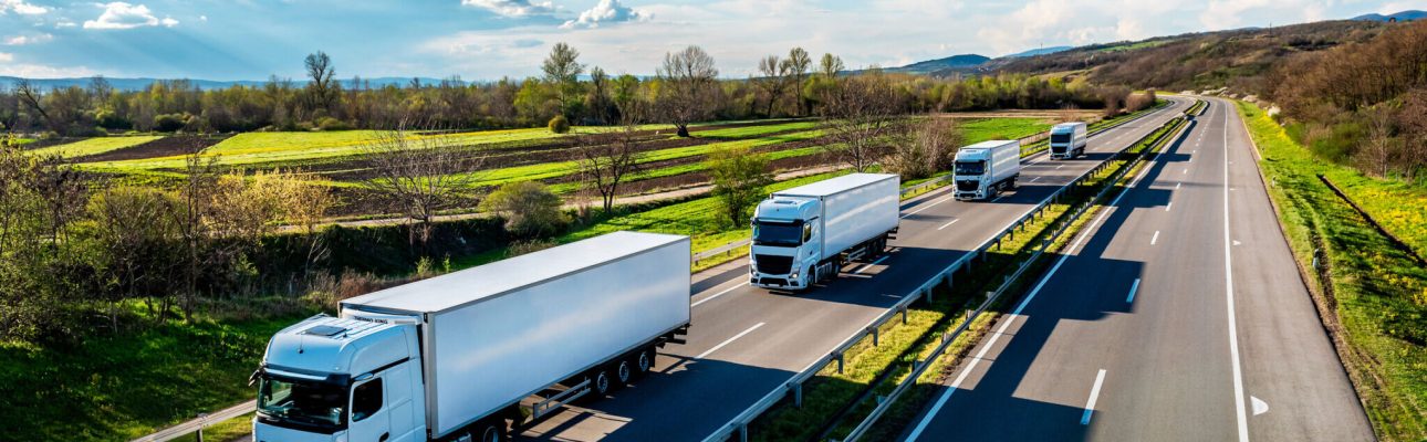 Convoy of white Trucks with containers on highway, cargo transportation concept in springtime - freight service